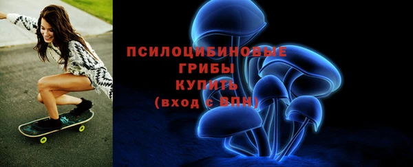 дживик Ростов